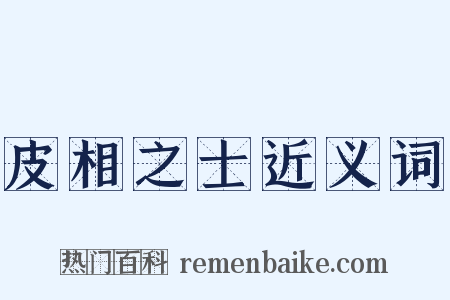 皮相之士近义词是什么意思的图片